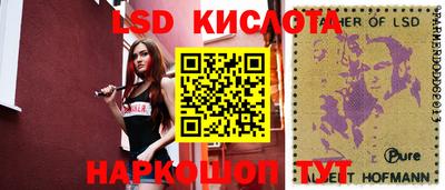 ECSTASY Новодвинск