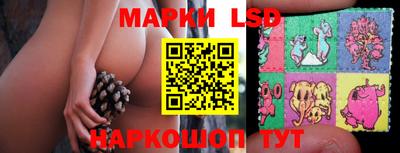 ECSTASY Новодвинск