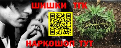 прущий лед Новозыбков