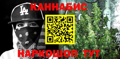 ECSTASY Новодвинск