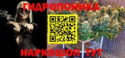 ECSTASY Новодвинск