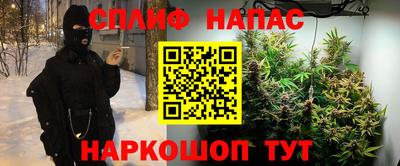 стафф Новокубанск